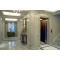 Luxury Home Elevator with Competitive Price